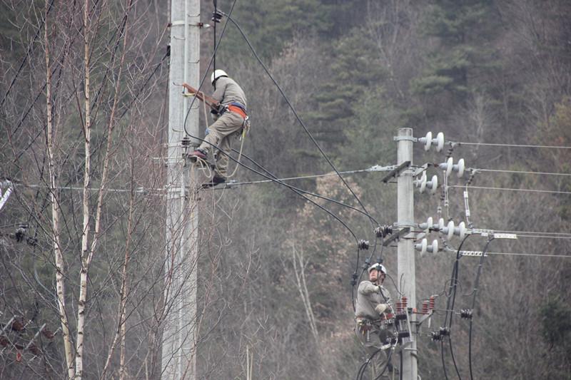 陜西地電留壩供電分公司：實施農石線、索道線分網改造