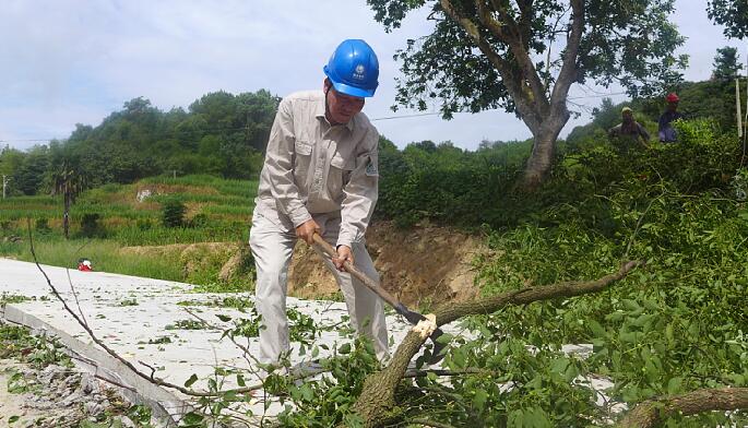 國網霞浦供電公司開展線路特巡清障 防抗“米克拉”臺風來襲