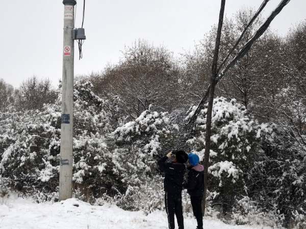 國網青海黃化供電公司踏雪巡線保供電