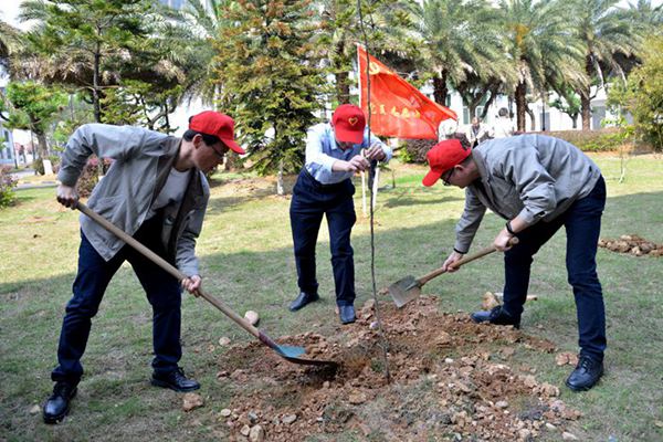 國家能源集團雁石公司組織開展義務植樹活動