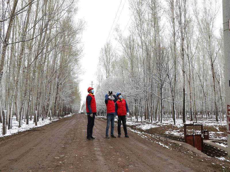 國網(wǎng)伊犁伊河供電公司四月飛雪，電力員工巡視線路保供電