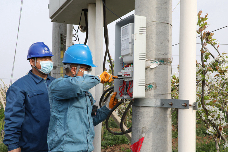 國網(wǎng)諸城市供電公司電力足，千畝梨園花正濃