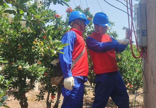 國網會理市供電公司：石榴花開漫山野 電力護航不停歇