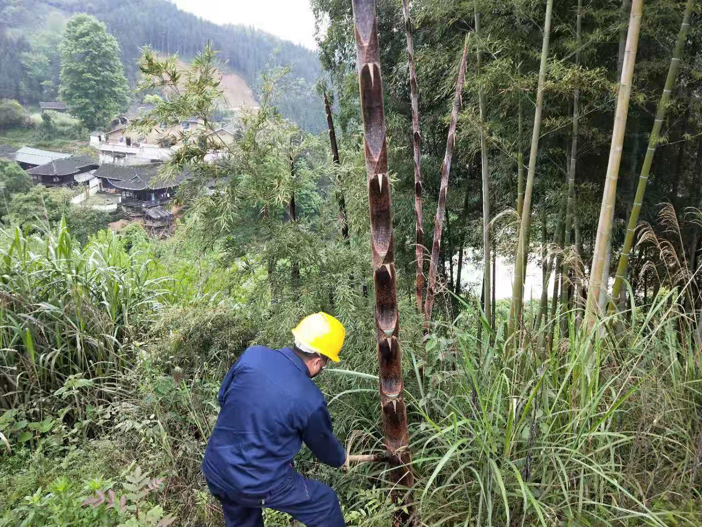 國網(wǎng)中方縣供電公司春檢砍青忙 線路通道暢