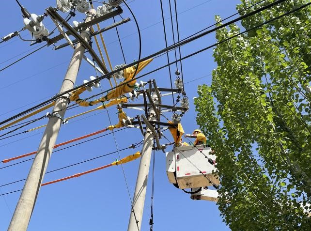 帶電作業(yè)除隱患，安全供電有保障