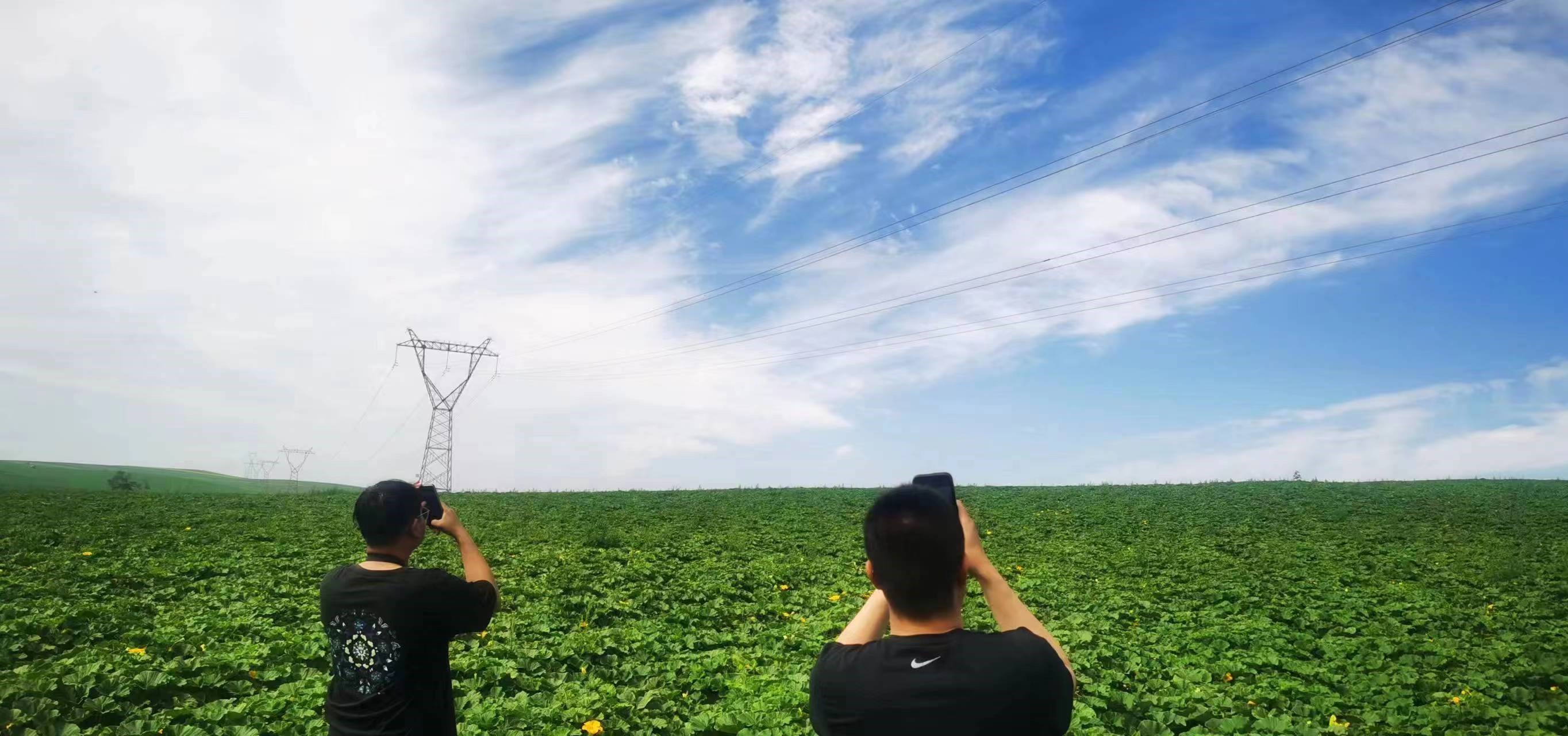 四子王輸變電管理處：防外力破壞，助安全運行