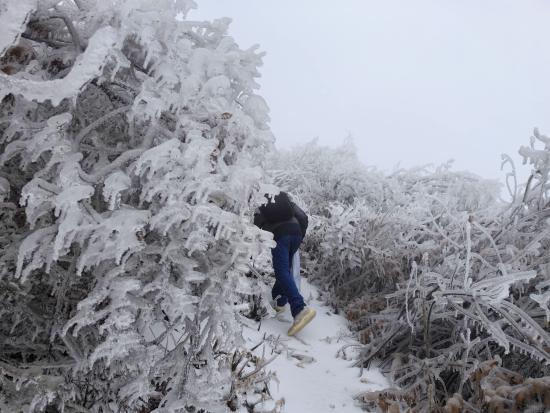 【新春走基層】迎雪而上攻堅行，奮戰(zhàn)不息護(hù)光明