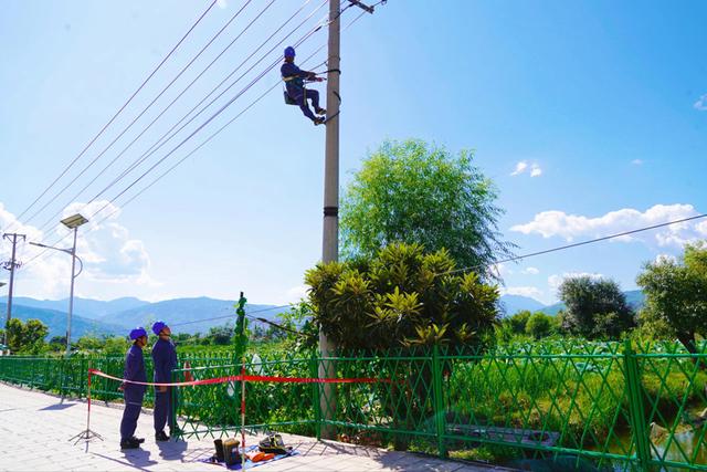 云南永勝供電局迎賞荷季 貼心電力服務添色夏日荷趣